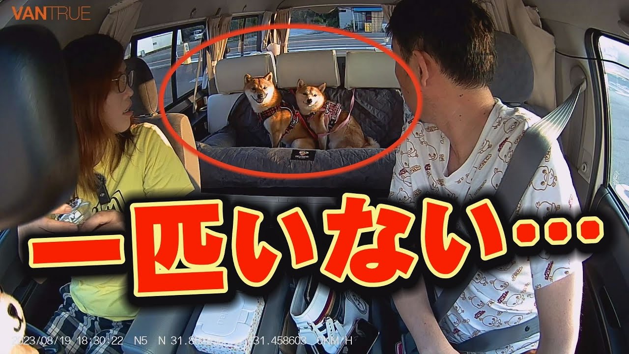 幾三が消えた・・・一部始終がドラレコに・・・VANTRUE N5 NEXUS 5