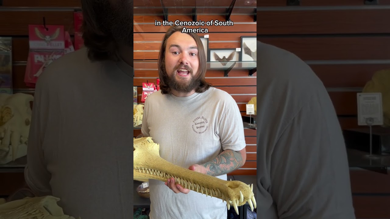 We were THIS close to meeting the most terrifying crocs that ever existed! 🐊😱 