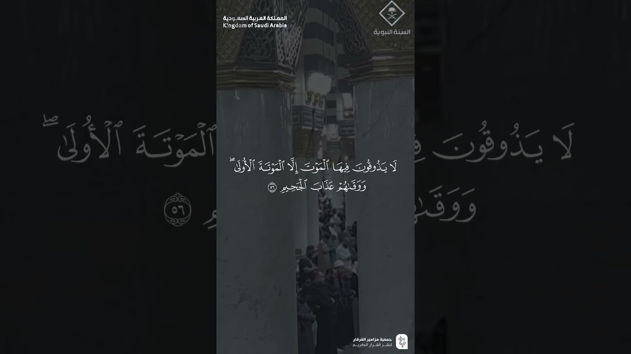 مقتطف من تلاوة فضيلة الشيخ #علي_الحذيفي من صلاة الفجر 24 رجب 1447هـ