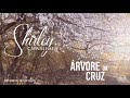 Shirley Carvalhaes - Árvore da Cruz (Versão Bachata)