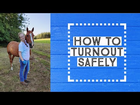 How to Safety