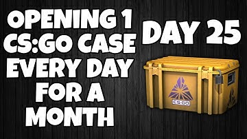 Opening 1 CS:GO Case Every Day For A Month - Day 25