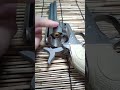 ”7 million views” Peacemaker Civilian #airsoft