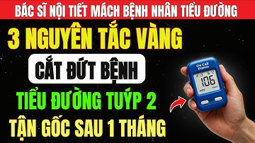 3 NGUYÊN TẮC Vàng Giúp “CẮT ĐÚT” TIỂU ĐƯỜNG Tuýp 2 TẬN GỐC – Hiệu Quả Bất Ngờ Sau 1 Tháng