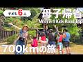 【母1人子ども6人】700km車で帰省！築200年の古民家で過ごす夏休み｜Summer at a 200-Year-Old Traditional Japanese House