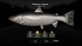 Russian Fishing 4.Русская рыбалка 4.Мой личный трофей на оз.Куори