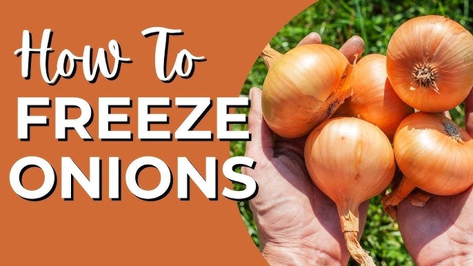 How to Freeze Onions and Why You'd Want to