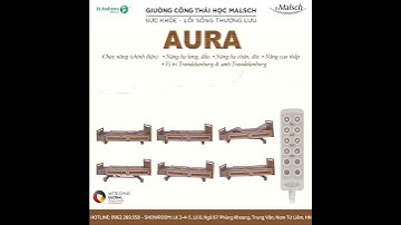 Giường Công Thái Học Malsch - Phiên bản AURA