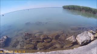 Savage 44 Music Inside Den Eurodance 2022