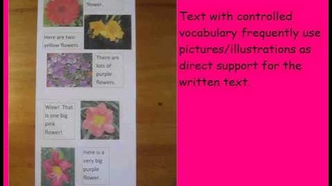 The Illustrations and the Text