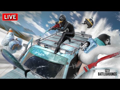 CHILL PUBG PC Stream 