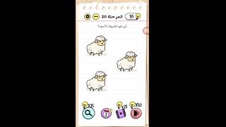 اين هو الخروف الاسود المرحلة brain test level 20