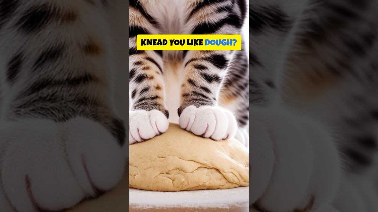 Why Does Your Cat Knead You Like Dough?