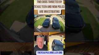 Two Dogs Reportedly Targeted by Texas Teen and Police Now Investigating