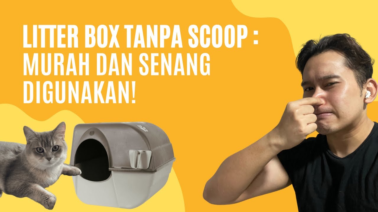 AUTOMATIC LITTER BOX TANPA SCOOP! REVIEW Petstler Roll to Clean