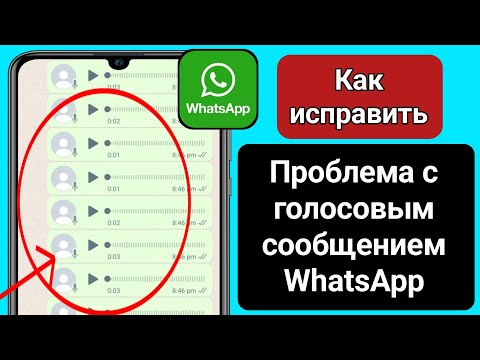 Как исправить проблему с голосовыми сообщениями в WhatsApp (2023)