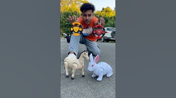 Remote Control Amar 1 Ta Horse 🐎 & 1 Ta Rabbit 🐇 Unboxing