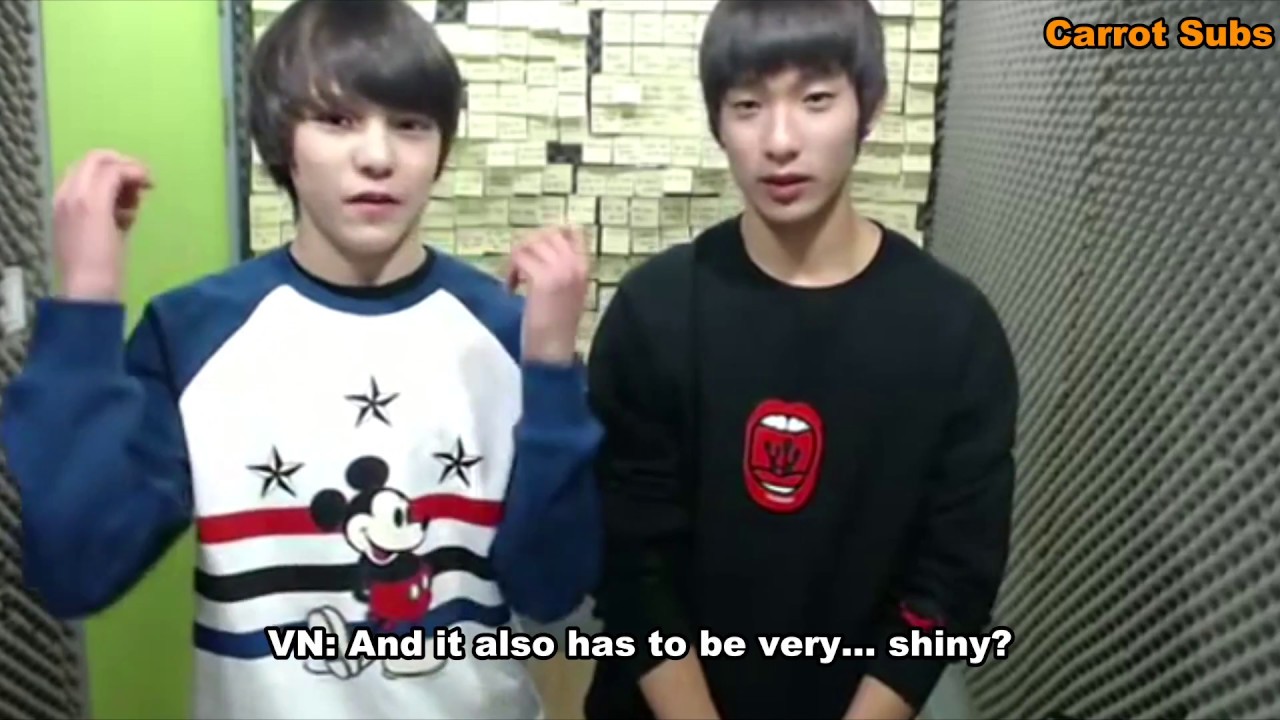 [ENG SUB] 130216 Seventeen TV: Vernon and DK's Predebut Ideal Types