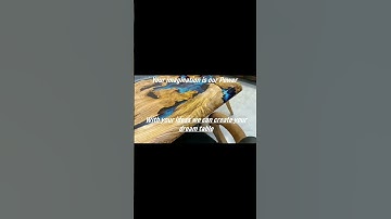 Ocean Olive Epoxy Table  Deep Blue Epoxy  Resin Table   Custom Made Table