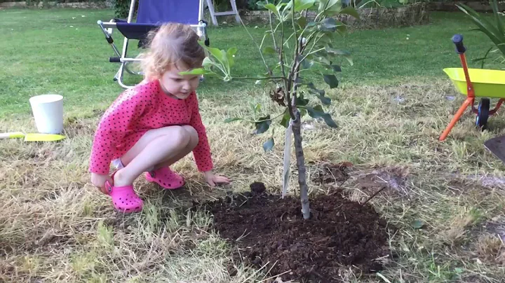 Isla plants her first tree