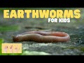 Earthworm Survival and Importance