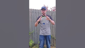 The Heart Vessel Yoyo Trick By ZammyIckler #yoyo #yoyotricks #yoyoing #gr33nrobot #trick #shorts