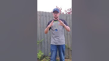 The Heart Vessel Yoyo Trick By ZammyIckler #yoyo #yoyotricks #yoyoing #gr33nrobot #trick #shorts