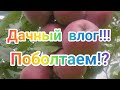 Дачный влог! Поболтаем!? 🥰🤗🤩