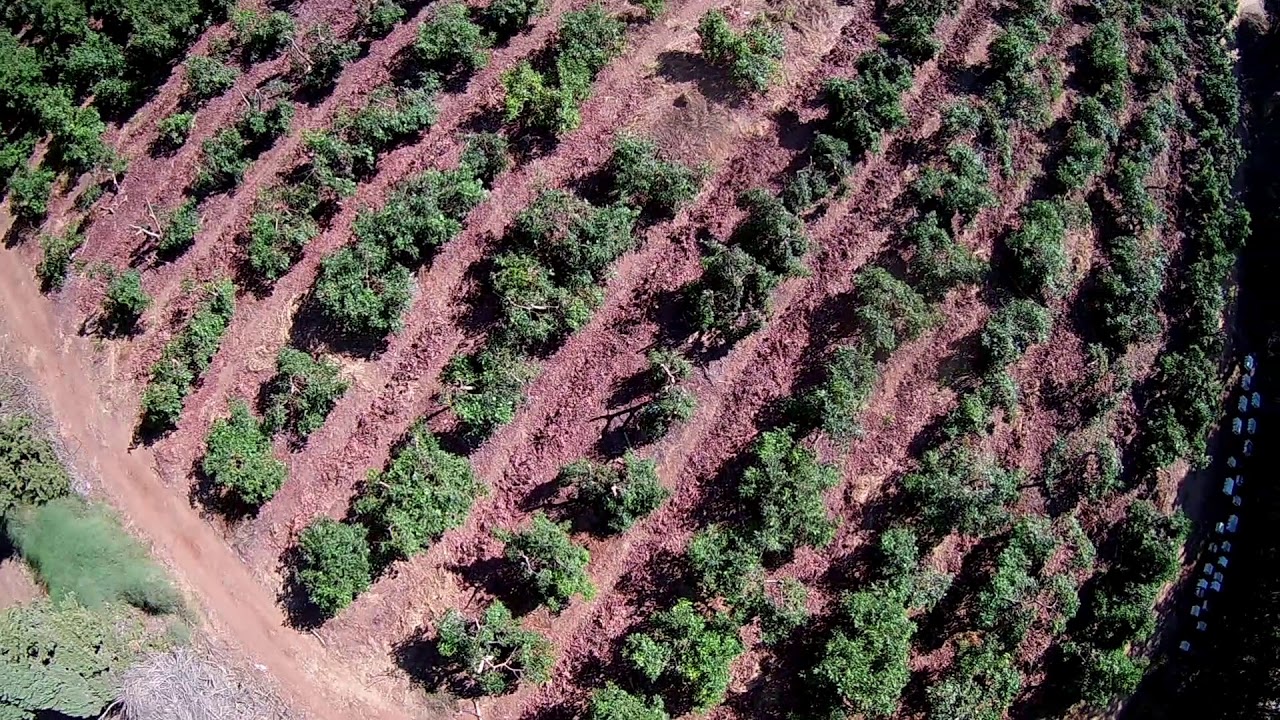 BF 3.2 - Still tuning.