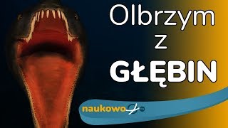 Niezwykłe Odkrycie Największy Potwór Z Polski