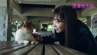 乃木坂46 斉藤優里 『愛の二等辺三角形』