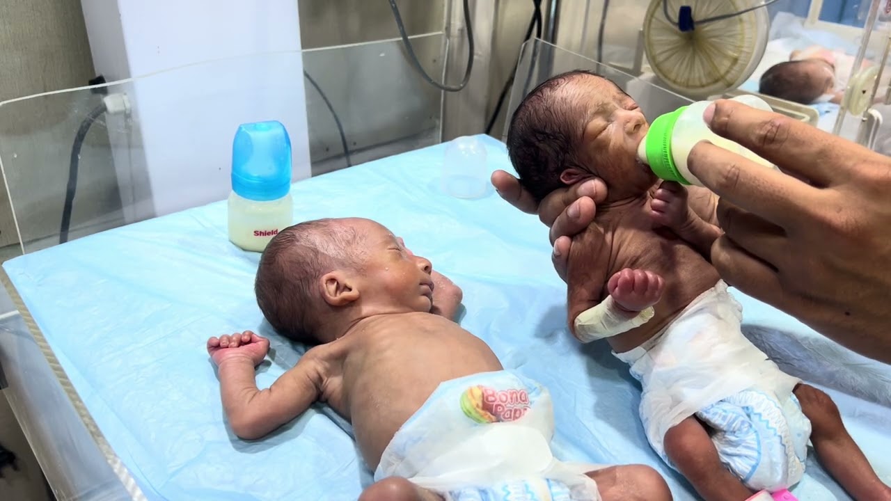 Premature Twins – Adorable Little Cute Babies in Our NICU | Neonatal Care Journey