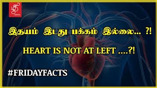 WHERE IS YOUR HEART? | WHY HEART IS AT LEFT? #HEART #HEARTLOCATION FRIDAY FACTS #fridayfacts