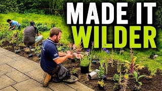 Everything I've Done to Make This Garden Better for Wildlife