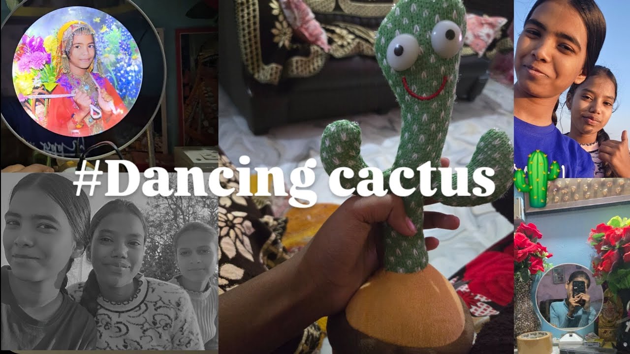 #Dancing cactus,🥲