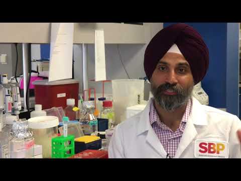 SBP's Dr. Aman Mann on Alzheimer’s discovery