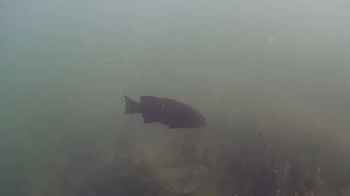 GLDS20250904 142526719 00 01 59 776 00 04 04 131