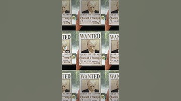 Mugiwara Donald Trump Mugshot Wanted Poster #3dprinting #hueforge #onepiece #filamentpainting