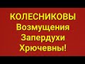 Семья Колесниковых/Обзор.