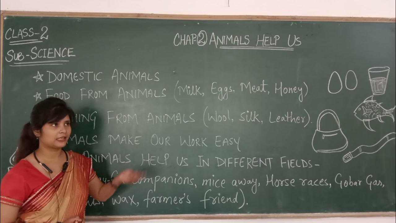 Class2nd / Science Chapter2 ( Animals Help Us Summary ) YouTube