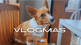 Snowy Walks, Corgi Cuteness, and Cleaning My Studio | Vlogmas Day 1