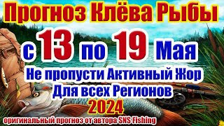 Прогноз клева рыбы на эту неделю с 13 по 19 Мая Прогноз клева рыбы Лунный календарь рыбака