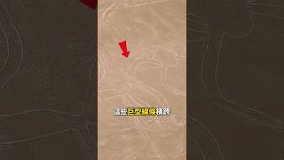 沙漠裡巨大的圖騰【納斯卡線圖】#分享 #shorts #自然