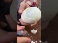 this goose egg is so tasty #shorts #realsound #realsound