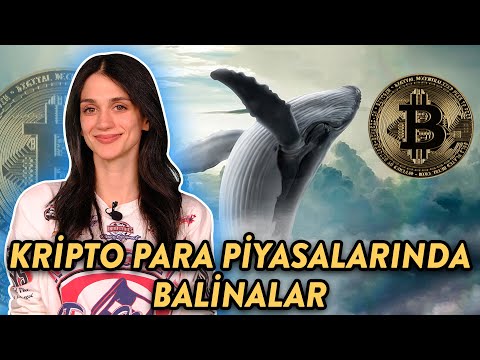 Kripto Paralarda Balinalar: YÜKSELT ve SAT!🐳| Piyasanın En Büyük Balinaları Kimler?💰