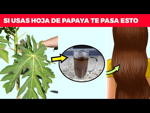 Video: Montaña De Papaya