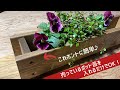 【DIY】誰でも簡単♪ミニプランター