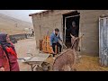 "Winter door installation guide for sheep" by the operator