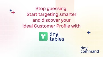 Discover your Ideal Customer Profile with AI | Build ICPs instantly in TinyTables (No-code tool)