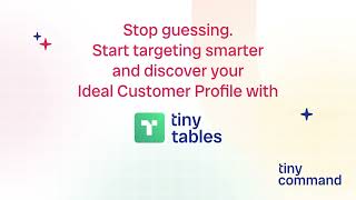 Discover your ideal customer profile with AI | Build ICPs instantly in TinyTables (No-code tool)